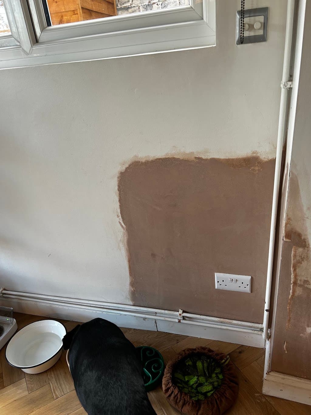 East London Plastering