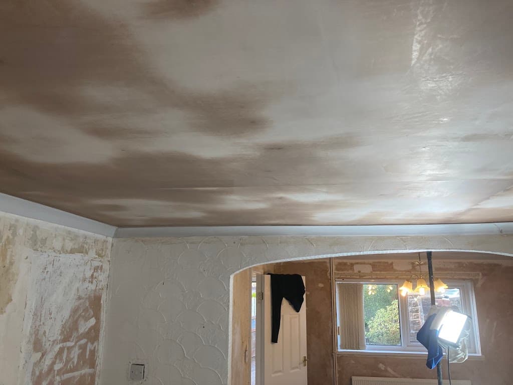 Blake Plastering®