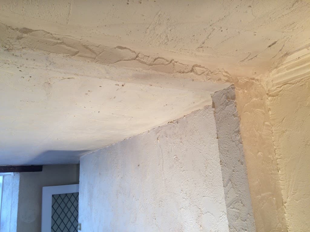 Ravenswood Plastering