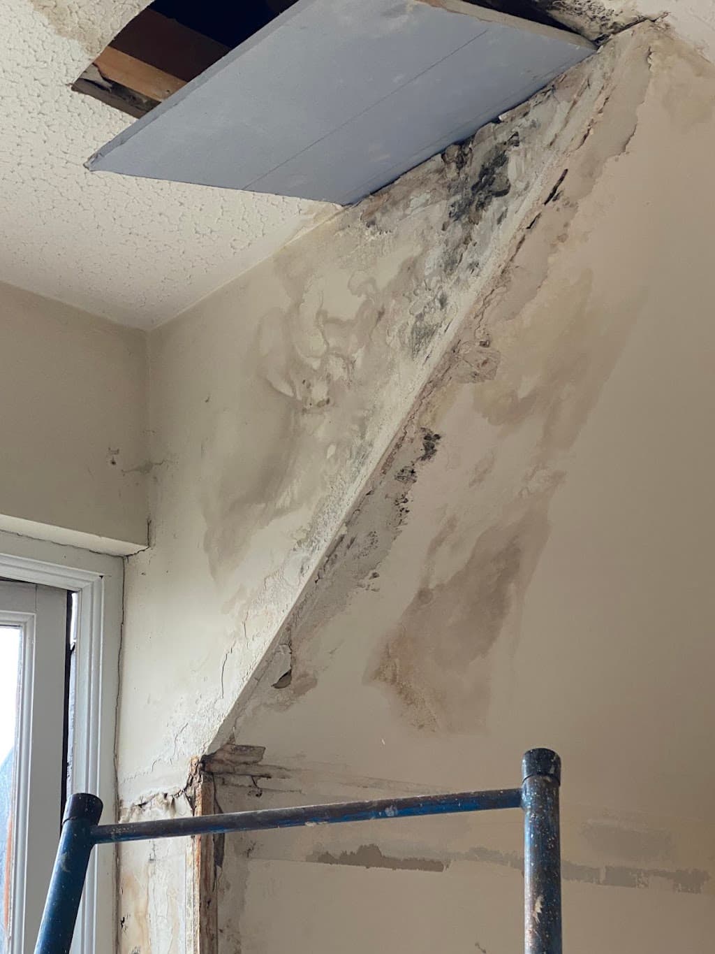 Barclay Plastering Edinburgh
