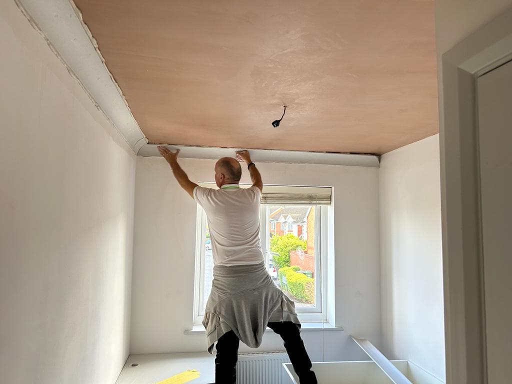 Rees Plastering LTD
