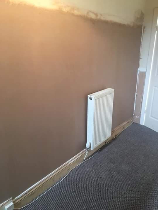 Select Plastering
