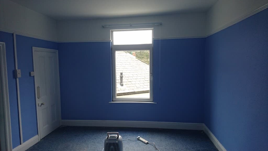 SSW Plastering Services
