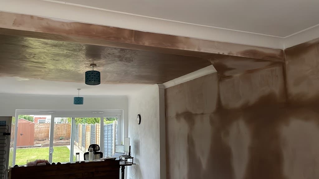 Ant's Plastering services