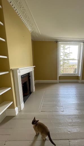 D.F Painters and Decorators Bristol — Customer photo