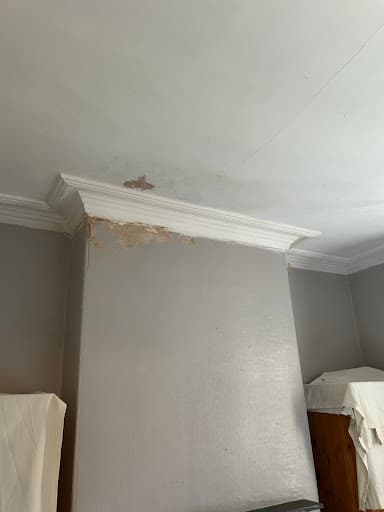 York Plastering and Cornice Specialists LTD — Customer photo
