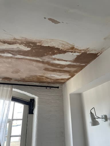 EAST LONDON PAINTER LTD — Customer photo