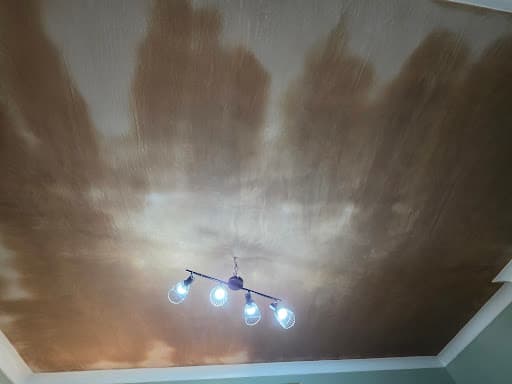 Happy Plastering — Customer photo