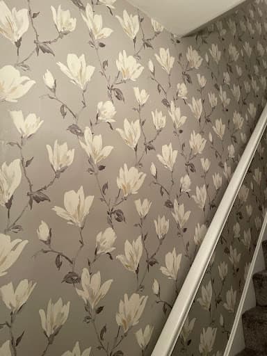 BE-PRIMED — Customer photo