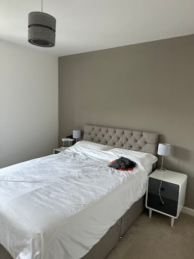 Bree's decorating — Customer photo