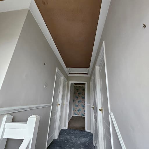 WD plastering — Customer photo