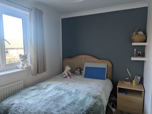 RDS PAINTING & DECORATING — Customer photo