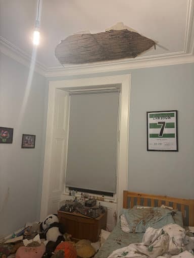 JD Painters, Decorators & Plasterers — Customer photo