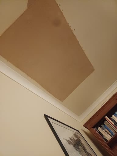 Rees Plastering — Customer photo