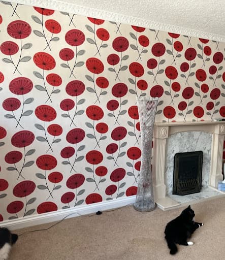 Waters Colours Decorating Services - Daniel Waters — Customer photo