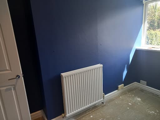 DL Painting & Decorating - Plymouth - Plympton - Plymstock - Ivybridge — Customer photo