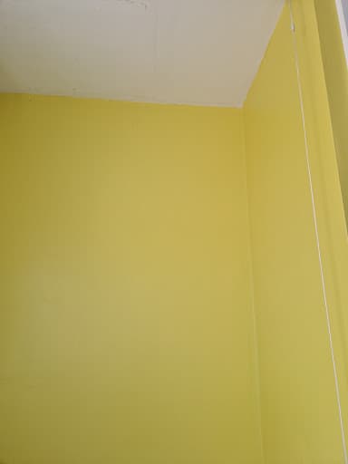 Peter`s Painting — Customer photo
