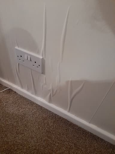Parva Painters and Decorators — Customer photo