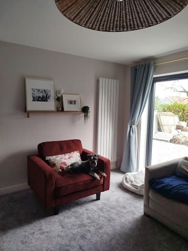 David The Painter — Customer photo