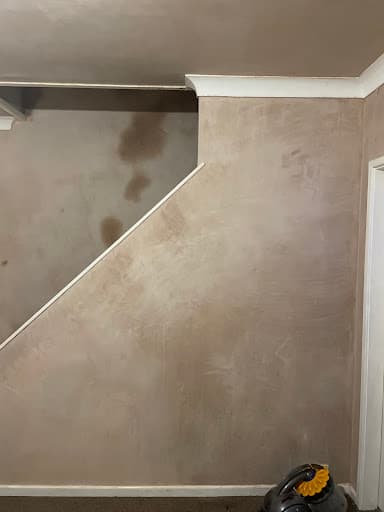 MDS Plastering & Rendering Ltd — Customer photo