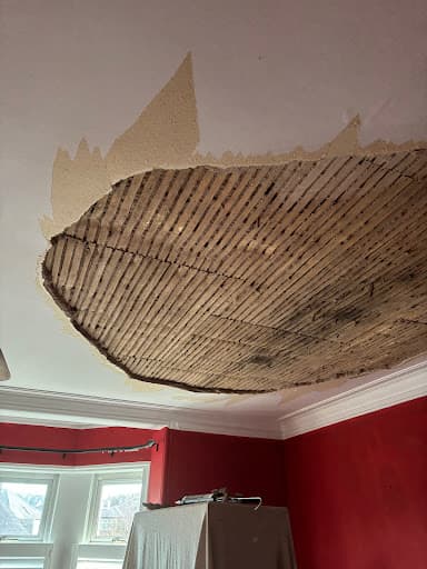 One Up Plastering Ltd — Customer photo