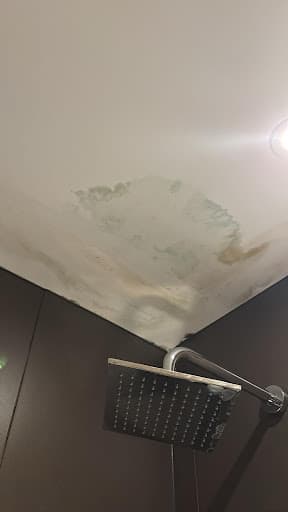 EAST LONDON PAINTER LTD — Customer photo