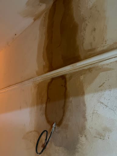 Smoothcoat plastering and Rendering — Customer photo