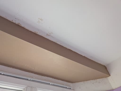Plaster Bristol — Customer photo