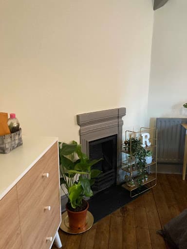 Mason & Co. Painters — Customer photo