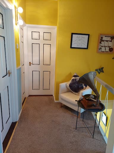Paintology - Decorators of Hampshire — Customer photo