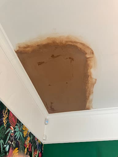Smoothcoat plastering and Rendering — Customer photo