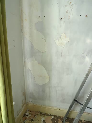 Daniel Begley Plastering — Customer photo