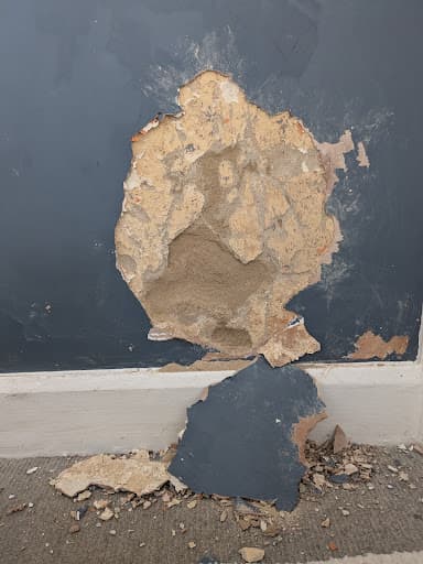 Swansea plastering & Damp proofing services — Customer photo