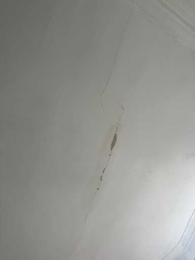 Rielly Plastering Solutions — Customer photo