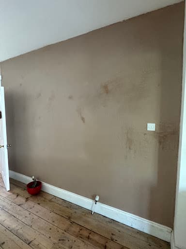 Plaster Bristol — Customer photo
