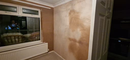 MDS Plastering & Rendering Ltd — Customer photo