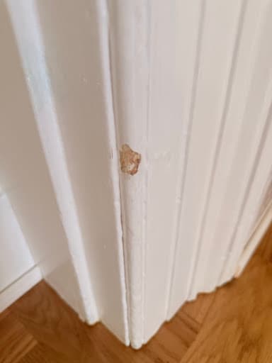 Property Painters Ltd - Refurbishment & Decorating Specialists — Customer photo