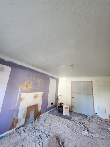 Seb Plastering — Customer photo