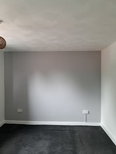 Peter`s Painting — Customer photo