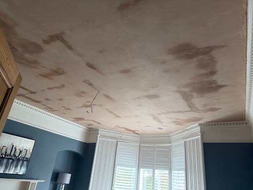 Happy Plastering — Customer photo