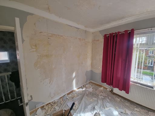 Dynamic Plastering Ltd — Customer photo