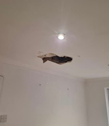 Crossin Plasterers Property Services Ltd — Customer photo