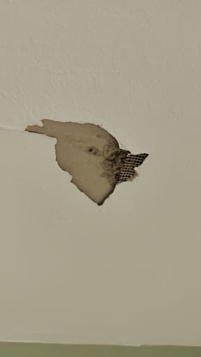 TNA Plastering — Customer photo