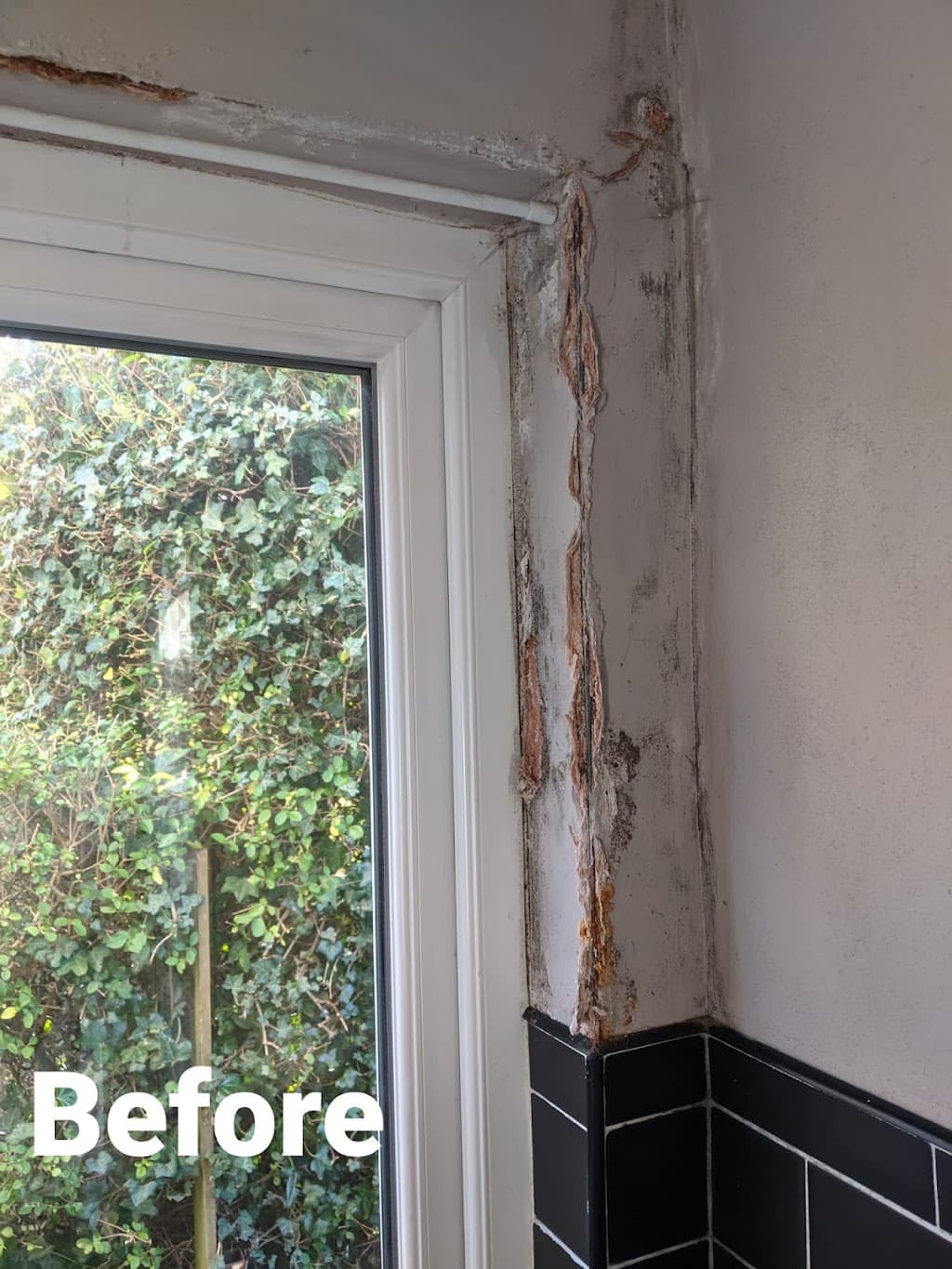 LG DECORATOR