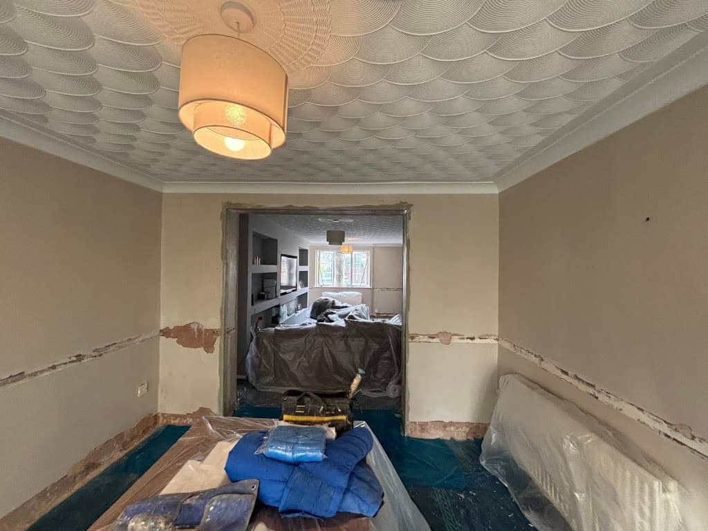 Ant’s Plastering