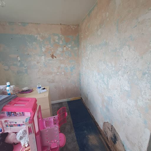Promote Property Birmingham Plasterer — Customer photo