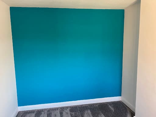 Haanz Painter & Decorator Ltd — Customer photo