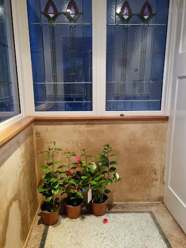 Lets Get Plastered Plastering Services — Customer photo