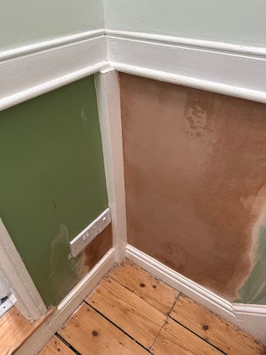 Mpw plastering/plasterers,contractors Michael cal — Customer photo