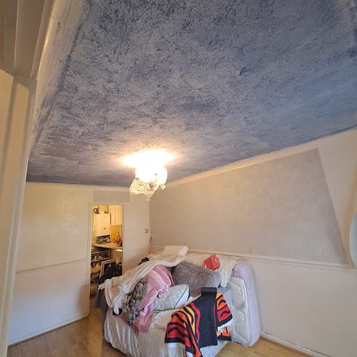 Promote Property Birmingham Plasterer — Customer photo